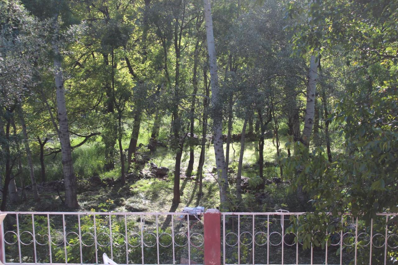 Auberge Toubkal Amsouzart Aitst Idar Tizgui Luaran gambar