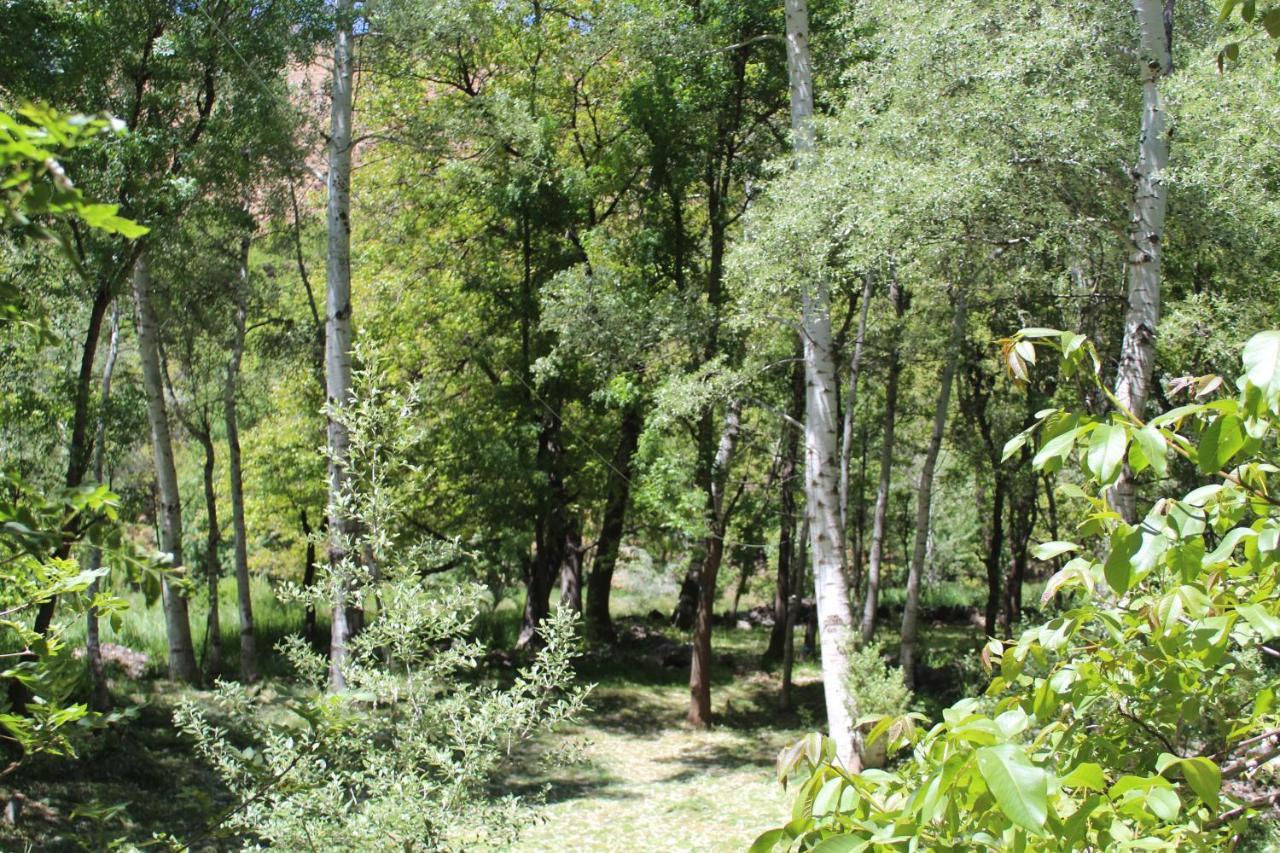 Auberge Toubkal Amsouzart Aitst Idar Tizgui Luaran gambar
